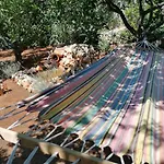 Traditional Olive House - *