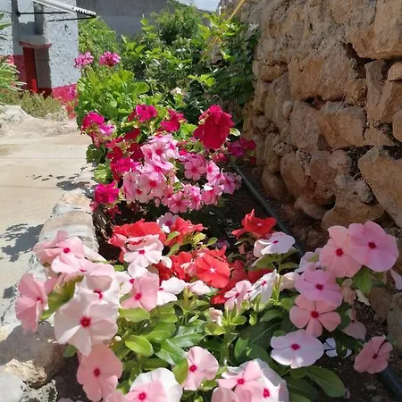 Traditional Olive House - Σπίτι διακοπών Gargalianoi