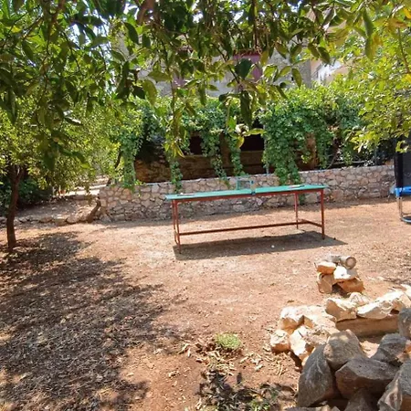 Traditional Olive House - *