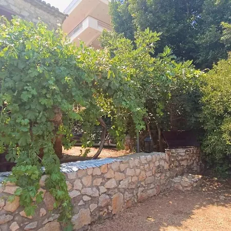 Traditional Olive House - Gargalianoi