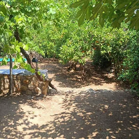 Vakantiehuis Traditional Olive House - *