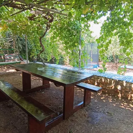 Traditional Olive House -