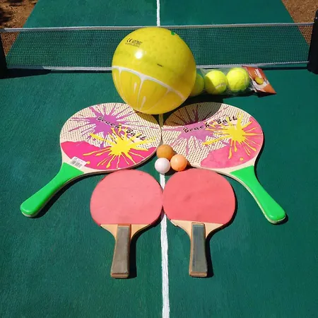 Traditional Olive House - Σπίτι διακοπών