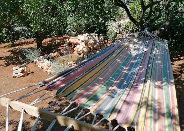 Traditional Olive House - *