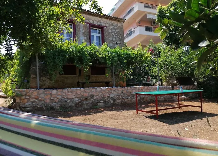 Traditional Olive House -