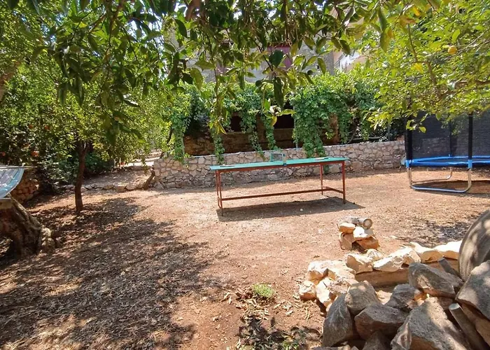 Traditional Olive House - *