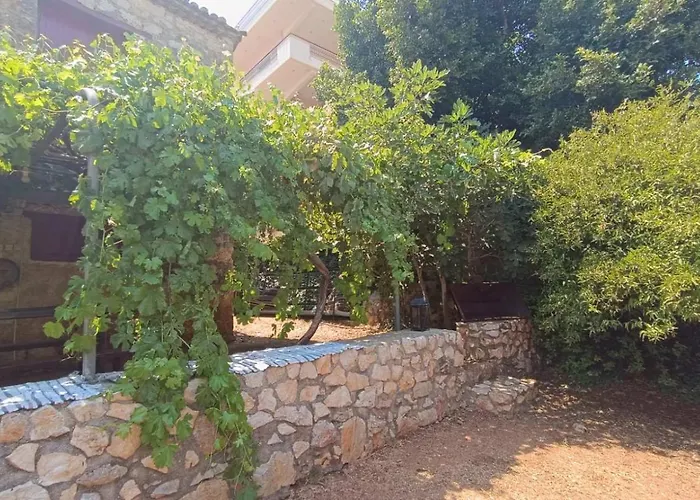 Traditional Olive House - Gargalianoi