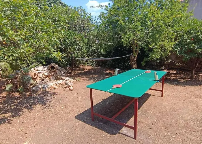 Traditional Olive House - בית נופש