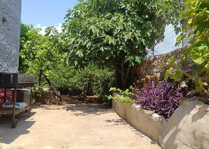 בית נופש Traditional Olive House - Gargalianoi