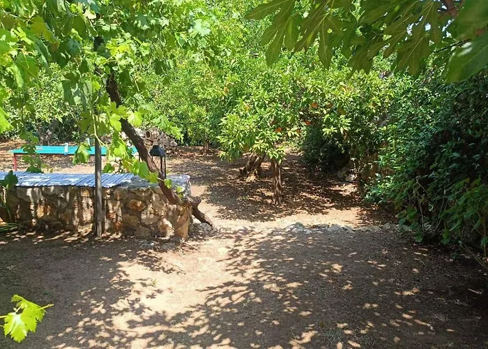 Vakantiehuis Traditional Olive House - *