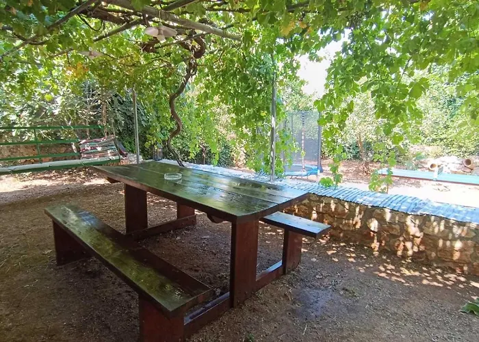 Traditional Olive House -